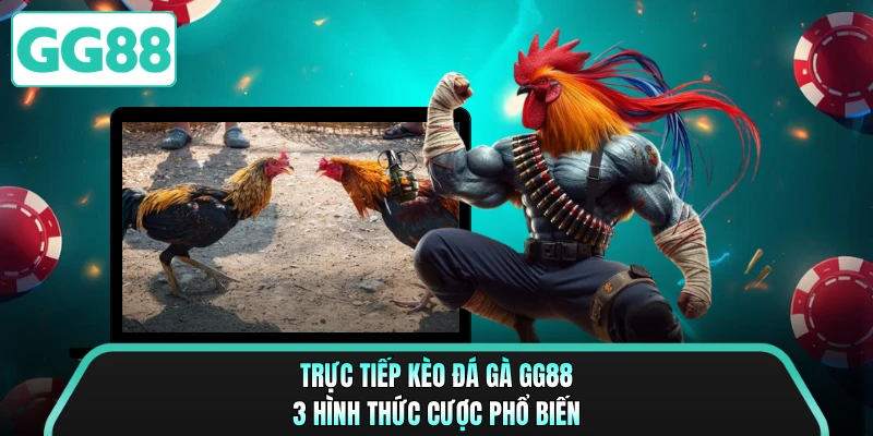 Trực Tiếp Kèo Đá Gà GG88 - 3 Hình Thức Cược Phổ Biến